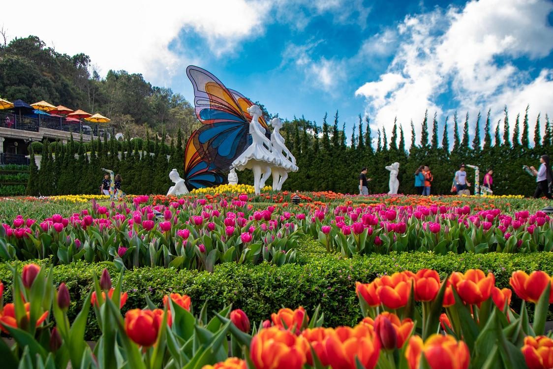 Cẩm nang kinh nghiệm du lịch Sun World Ba Na Hills 2026 chi tiết từ A–Z