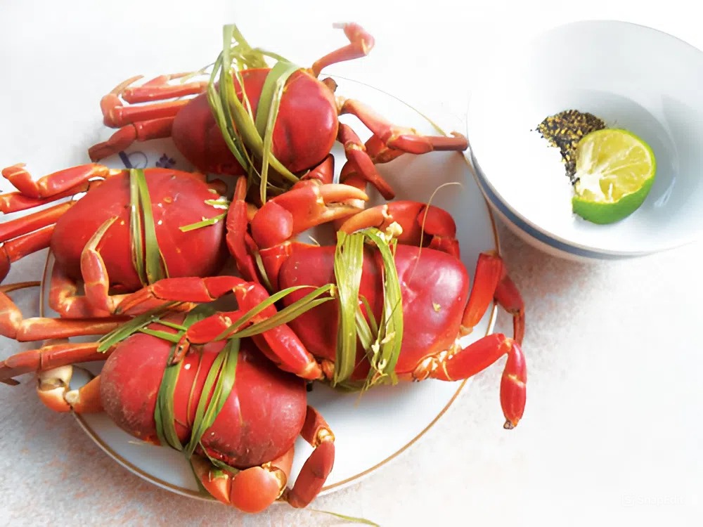 Hải sản Cù Lao Chàm – 6 món ăn khiến du khách say đắm