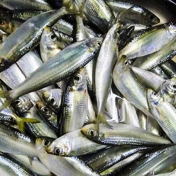 Gỏi cá Nam Ô – Khám phá món ăn độc đáo xứ biển
