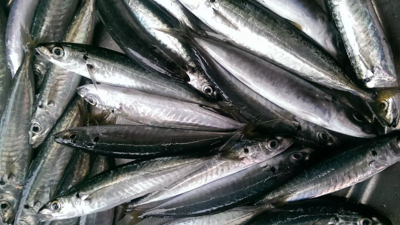 Gỏi cá Nam Ô – Khám phá món ăn độc đáo xứ biển